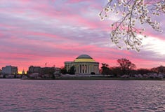 Le panorama urbain avec Thomas Jefferson Memorial et le capitol des USA au lever de soleil pendant les fleurs de cerisier assaiso Images libres de droits Le panorama urbain avec Thomas Jefferson Memorial et le capitol des USA au lever de soleil pendant les fleurs de cerisier assaiso Images libres de droits