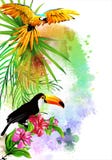 Le perroquet et le toucan sur le fond de la peinture multicolore éclabousse illustration libre de droits Le perroquet et le toucan sur le fond de la peinture multicolore éclabousse illustration libre de droits
