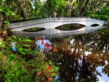 Le pont blanc au-dessus de l'eau, avec de la mousse a couvert des arbres Charleston, Sc image stock Le pont blanc au-dessus de l'eau, avec de la mousse a couvert des arbres Charleston, Sc image stock