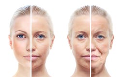 Le portrait de la femme 20,40,60 années. images libres de droits Le portrait de la femme 20,40,60 années. images libres de droits