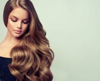 Le portrait de la jeune femme magnifique avec élégant composent et coiffure parfaite photographie stock libre de droits Le portrait de la jeune femme magnifique avec élégant composent et coiffure parfaite photographie stock libre de droits