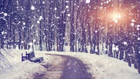 Le precipitazioni nevose nell'inverno silenzioso parcheggiano al tramonto luminoso Fiocchi di neve che cadono sul vicolo nevoso T Fotografia Stock Libera da Diritti Le precipitazioni nevose nell'inverno silenzioso parcheggiano al tramonto luminoso Fiocchi di neve che cadono sul vicolo nevoso T Fotografia Stock Libera da Diritti
