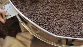 Le processus versent hors des graines de café frites dans le sac dans l'usine banque de vidéos Le processus versent hors des graines de café frites dans le sac dans l'usine banque de vidéos