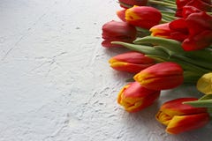 Le ressort fleurit des tulipes sur une table texturisée en pierre 8 mars, jour international du ` s de femmes, jour du ` s de mèr Photo libre de droits Le ressort fleurit des tulipes sur une table texturisée en pierre 8 mars, jour international du ` s de femmes, jour du ` s de mèr Photo libre de droits