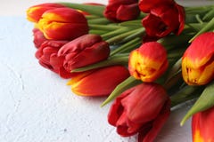 Le ressort fleurit des tulipes sur une table texturisée en pierre 8 mars, jour international du ` s de femmes, jour du ` s de mèr Image stock Le ressort fleurit des tulipes sur une table texturisée en pierre 8 mars, jour international du ` s de femmes, jour du ` s de mèr Image stock