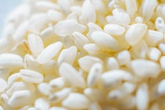 Le riz rond blanc est macro enlevé, texture image stock Le riz rond blanc est macro enlevé, texture image stock
