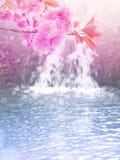 Le rose d'arbre de Sakura fleurit sur le fond de cascade Photos stock Le rose d'arbre de Sakura fleurit sur le fond de cascade Photos stock