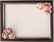 Le rose rosa fioriscono il fondo molle del confine bianco vuoto per il biglietto di S. Valentino fotografia stock libera da diritti Le rose rosa fioriscono il fondo molle del confine bianco vuoto per il biglietto di S. Valentino fotografia stock libera da diritti