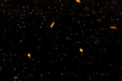 Le scintillement métallique d'or en baisse déjouent des confettis, movemen d'animation illustration de vecteur Le scintillement métallique d'or en baisse déjouent des confettis, movemen d'animation illustration de vecteur