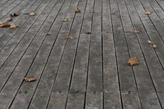 Le sycomore fané part sur les carrelages en bois photographie stock Le sycomore fané part sur les carrelages en bois photographie stock