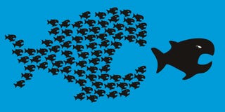 Le symbole de l'union est force avec de petits poissons à la poursuite d'un grand illustration libre de droits Le symbole de l'union est force avec de petits poissons à la poursuite d'un grand illustration libre de droits