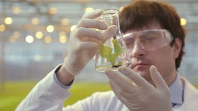 Le technicien de laboratoire examine la feuille verte en serre chaude debout de flacon sur la culture hydroponique clips vidéos Le technicien de laboratoire examine la feuille verte en serre chaude debout de flacon sur la culture hydroponique clips vidéos