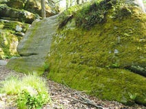 Le tonnerre bascule au parc d'?tat d'Allegany photographie stock libre de droits Le tonnerre bascule au parc d'?tat d'Allegany photographie stock libre de droits