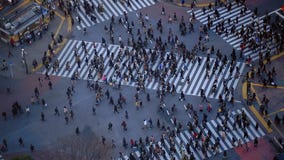 Le trafic piétonnier Shibuya Tokyo de ville clips vidéos Le trafic piétonnier Shibuya Tokyo de ville clips vidéos