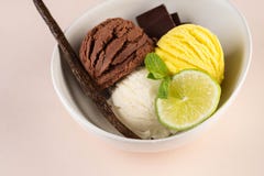 Le trio de la vanille et de la chaux savoureuses de chocolat a assaisonn? le dessert surgel? dans une cuvette blanche photo libre de droits Le trio de la vanille et de la chaux savoureuses de chocolat a assaisonn? le dessert surgel? dans une cuvette blanche photo libre de droits