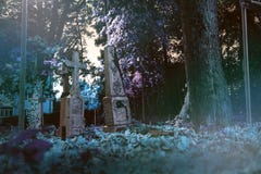 Le vecchie pietre tombali rovinano nella foresta del autmn, cimitero nella sera, la notte, la luce di luna, il fuoco selettivo, b immagine stock libera da diritti Le vecchie pietre tombali rovinano nella foresta del autmn, cimitero nella sera, la notte, la luce di luna, il fuoco selettivo, b immagine stock libera da diritti