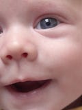 Le visage de l'enfant en bas âge Le visage de l'enfant en bas âge