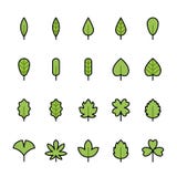 Color line icon set of Leaf vector illustration Color line icon set of Leaf vector illustration