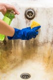 Hands in blue rubber worker handgloves hold sponge and spray with detergent clean bath tub covered in fungus, dirt and mold Royalty Free Stock Photo Hands in blue rubber worker handgloves hold sponge and spray with detergent clean bath tub covered in fungus, dirt and mold Royalty Free Stock Photo