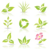 Leaves And A Flower Royalty Free Stock Image Leaves And A Flower Royalty Free Stock Image