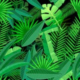 Leaves of tropical palm tree. Seamless pattern on vector illustration Leaves of tropical palm tree. Seamless pattern on vector illustration