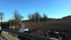 Leeg zwart gebied, groen gebied, sneeuw en smeltingswater in de vroege lente Weergeven van het bewegen van autoraam stock video Leeg zwart gebied, groen gebied, sneeuw en smeltingswater in de vroege lente Weergeven van het bewegen van autoraam stock video