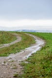 lege grintweg in het platteland in de zomer - de wijnoogst ziet eruit Royalty-vrije Stock Afbeeldingen lege grintweg in het platteland in de zomer - de wijnoogst ziet eruit Royalty-vrije Stock Afbeeldingen