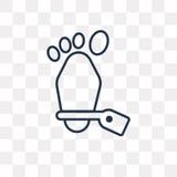 Leichenvektorikone lokalisiert auf transparentem Hintergrund, lineare Co vektor abbildung Leichenvektorikone lokalisiert auf transparentem Hintergrund, lineare Co vektor abbildung
