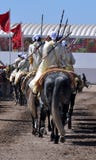 Leistung der traditionellen Fantasie in Marokko lizenzfreies stockbild Leistung der traditionellen Fantasie in Marokko lizenzfreies stockbild