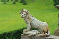 Lejonet sitter på trappan Royaltyfria Bilder Lejonet sitter på trappan Royaltyfria Bilder