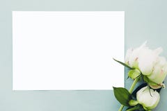 Lekmanna- pionblommor för lägenhet och tomt vitt ark på blå bakgrund, bästa sikt Åtlöje upp arkivfoto Lekmanna- pionblommor för lägenhet och tomt vitt ark på blå bakgrund, bästa sikt Åtlöje upp arkivfoto