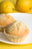 Lemon Muffins On Yellow Stock Image