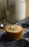 Lemon Poppy Seed Muffin stock photography Lemon Poppy Seed Muffin stock photography