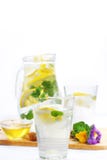Lemonade royaltyfria foton Lemonade royaltyfria foton