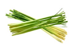 Lemongrass Royalty Free Stock Photography Lemongrass Royalty Free Stock Photography