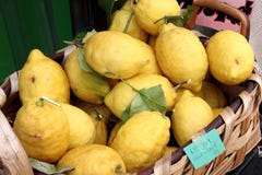 Lemons of Capri