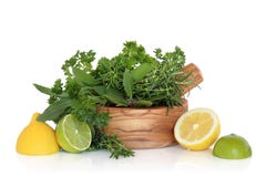 Lemons, Limes and Herb Leaves stock image Lemons, Limes and Herb Leaves stock image