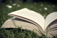 Lendo um livro no parque no verão imagens de stock royalty free Lendo um livro no parque no verão imagens de stock royalty free