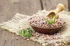 lentilles images libres de droits lentilles images libres de droits