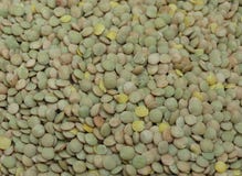 Are lentils vegetables or grains?