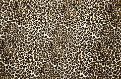 Leopard Print. Brown and white leopard print background Leopard Print. Brown and white leopard print background