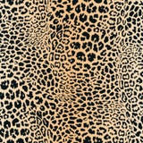 Leopard skin pattern. Vector seamless texture. Animal print, jaguar, cheetah