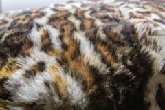 Leopardo, pele de Jaguar com manchado na textura da pele, fim acima imagens de stock royalty free Leopardo, pele de Jaguar com manchado na textura da pele, fim acima imagens de stock royalty free