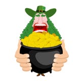 Leprechaun and Pot of gold. beard in Shamrock face. Clover mustache. Ireland holiday. St. Patrick`s Day. Traditional Irish holida royalty free illustration Leprechaun and Pot of gold. beard in Shamrock face. Clover mustache. Ireland holiday. St. Patrick`s Day. Traditional Irish holida royalty free illustration