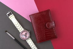 Les accessoires des femmes, support rouge de carte de visite professionnelle de visite, montre-bracelet, brosse de maquillage sur photographie stock libre de droits Les accessoires des femmes, support rouge de carte de visite professionnelle de visite, montre-bracelet, brosse de maquillage sur photographie stock libre de droits