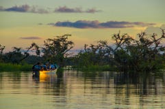 Les arbres silhouettés contre un ciel orange au coucher du soleil au-dessus de Laguna grand dans la faune de Cuyabeno réservent l photo libre de droits Les arbres silhouettés contre un ciel orange au coucher du soleil au-dessus de Laguna grand dans la faune de Cuyabeno réservent l photo libre de droits