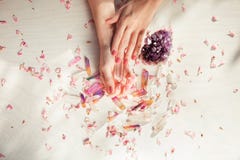Les belles mains de femme avec violet parfait vernis à ongles sur le fond en bois blanc tenant peu de cristaux de quartz image libre de droits Les belles mains de femme avec violet parfait vernis à ongles sur le fond en bois blanc tenant peu de cristaux de quartz image libre de droits