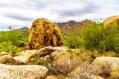Les cactus, les arbustes et les grands roches et rochers en Arizona abandonnent image libre de droits Les cactus, les arbustes et les grands roches et rochers en Arizona abandonnent image libre de droits