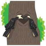 Les calaos noirs sont fidèles à leurs compagnons image libre de droits Les calaos noirs sont fidèles à leurs compagnons image libre de droits