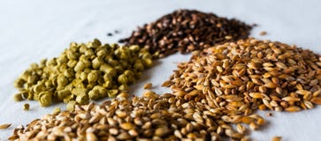 Les composants de bière au-dessus d'un fond blanc photos stock Les composants de bière au-dessus d'un fond blanc photos stock